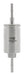 Champion Fuel Filter CFF100450 HSB Trading