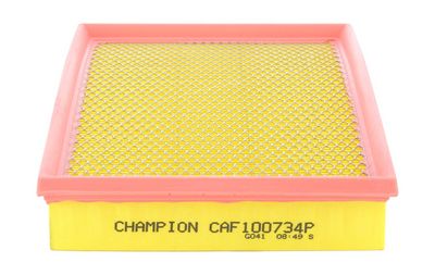 Champion Air Filter CAF100734P HSB Trading