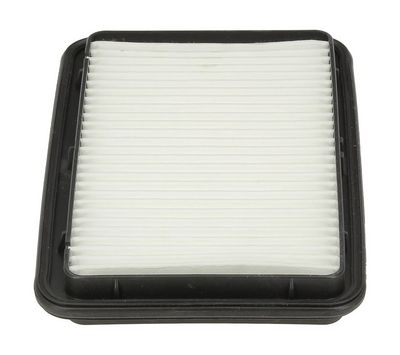 Champion Air Filter CAF100965P HSB Trading