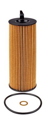 Champion Oil Filter COF100579E HSB Trading