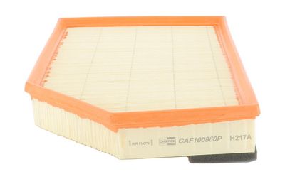 Champion Air Filter CAF100860P HSB Trading