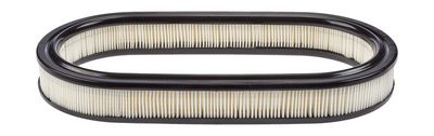 Champion Air Filter CAF100226R HSB Trading