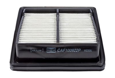 Champion Air Filter CAF100922P HSB Trading