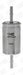 Champion Fuel Filter CFF100246 HSB Trading