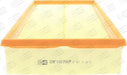 Champion Air Filter CAF100700P HSB Trading