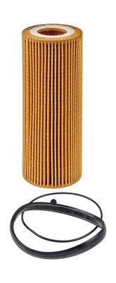 Champion Oil Filter COF100596E HSB Trading