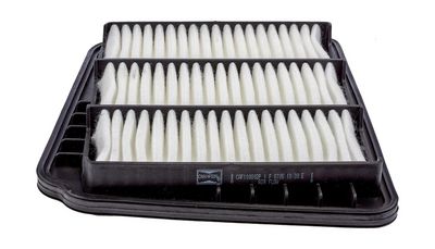 Champion Air Filter CAF100802P HSB Trading
