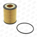 Champion Oil Filter COF100519E HSB Trading
