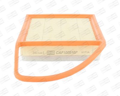 Champion Air Filter CAF100916P HSB Trading