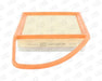 Champion Air Filter CAF100916P HSB Trading