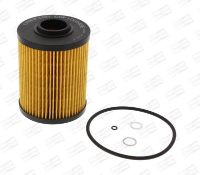 Champion Oil Filter COF100548E HSB Trading