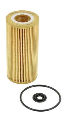 Champion Oil Filter COF100552E HSB Trading