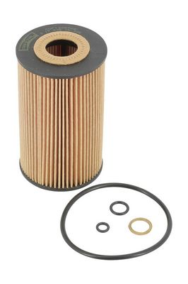 Champion Oil Filter COF100576E HSB Trading