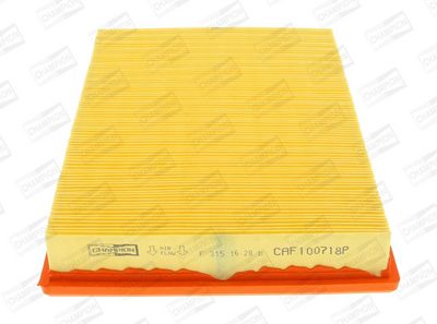 Champion Air Filter CAF100718P HSB Trading