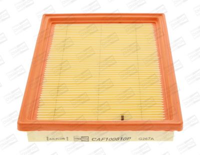 Champion Air Filter CAF100810P HSB Trading