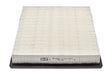 Champion Air Filter CAF100666P HSB Trading