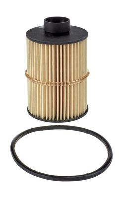Champion Fuel Filter CFF100555 HSB Trading