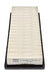 Champion Air Filter CAF100780P HSB Trading