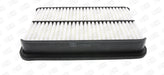 Champion Air Filter CAF100677P HSB Trading