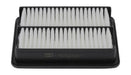 Champion Air Filter CAF101171P HSB Trading