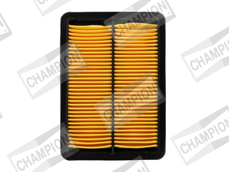 Champion Air Filter CAF101169P HSB Trading