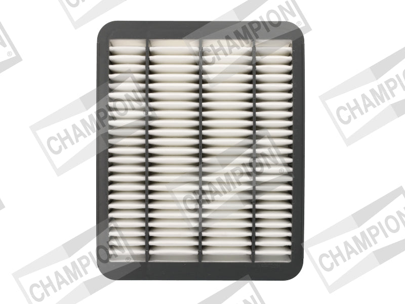 Champion Air Filter CAF101166P HSB Trading