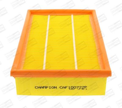 Champion Air Filter CAF100722P HSB Trading