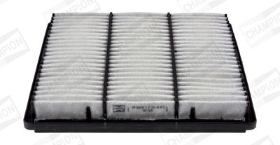 Champion Air Filter CAF100675P HSB Trading