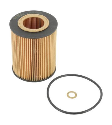 Champion Oil Filter COF100577E HSB Trading