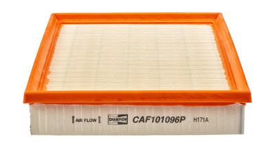 Champion Air Filter CAF101096P HSB Trading