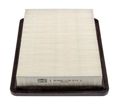 Champion Air Filter CAF100947P HSB Trading