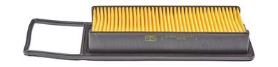 Champion Air Filter CAF100812P HSB Trading