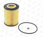Champion Oil Filter COF100566E HSB Trading
