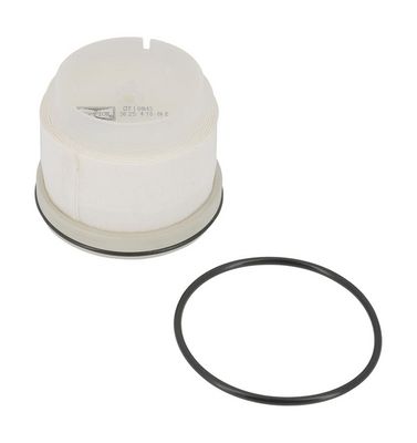 Champion Fuel Filter CFF100643 HSB Trading
