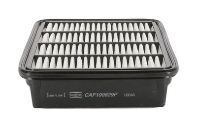 Champion Air Filter CAF100829P HSB Trading