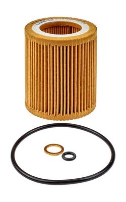 Champion Oil Filter COF100686E HSB Trading