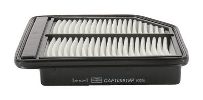 Champion Air Filter CAF100919P HSB Trading