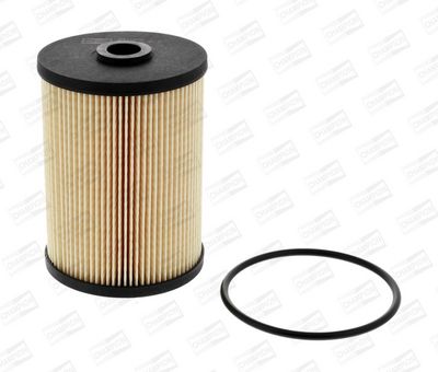 Champion Fuel Filter CFF100447 HSB Trading