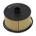 Champion Oil Filter COF100695E HSB Trading