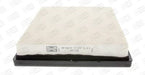 Champion Air Filter CAF100671P HSB Trading