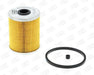 Champion Fuel Filter CFF100255 HSB Trading