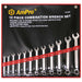 AMPRO 12PC COMBINATION WRENCH SET (6- 19MM) HSB Trading Online Store